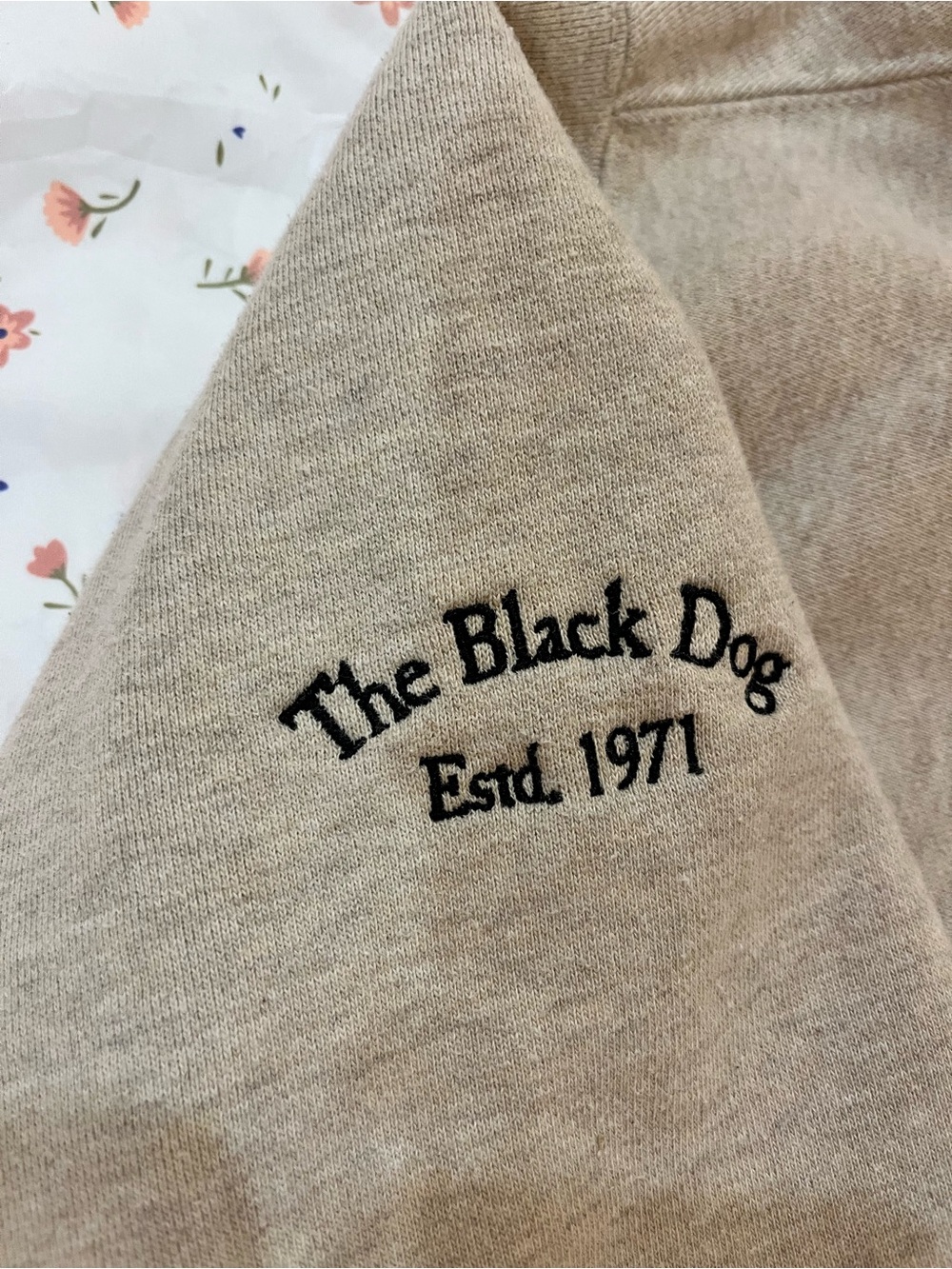 The Black Dog embroidered hoodie - Picture 3 of 7